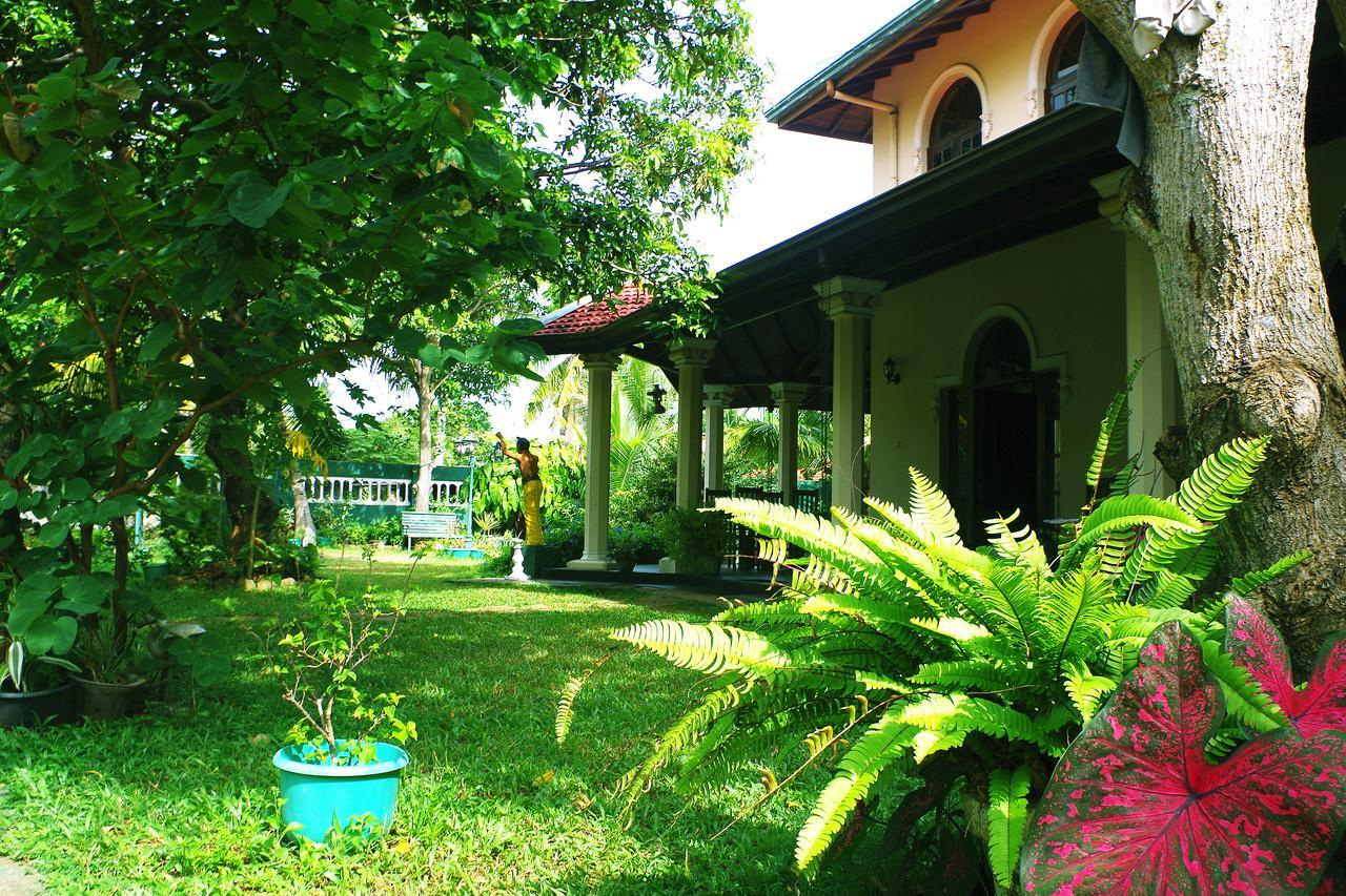Villa Eco Green Negombo Dış mekan fotoğraf